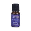 Home Fragrance Cello Mixology Fragrance Oils | Mixology Fragrance Oil - French Lavender